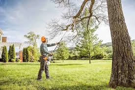  Dublin, PA Tree Removal and Landscaping Services Pros